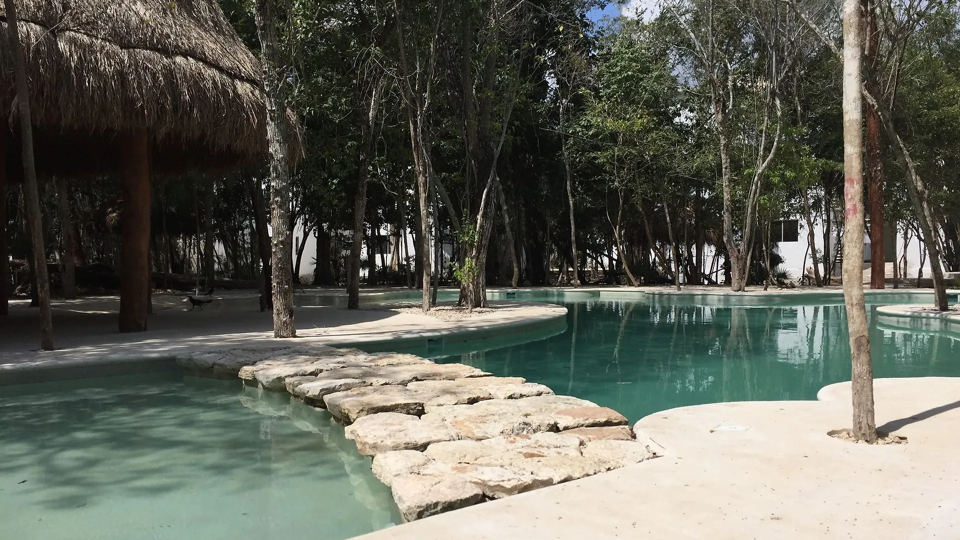 Apartamentos Riviera Maya Vip Puerto Morelos 0*,  Mexico