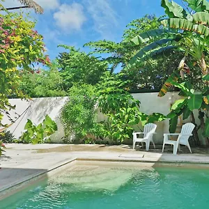 Hostel Humanity, Puerto Morelos