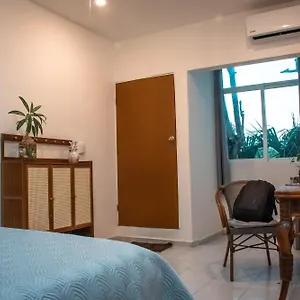 Hostel Cuca Macuca, Puerto Morelos